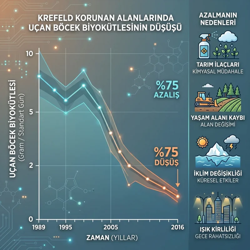 Insect apocalypse eğilimini ve Krefeld çalışmasında uçan böcek biyokütlesi düşüşünü gösteren grafik